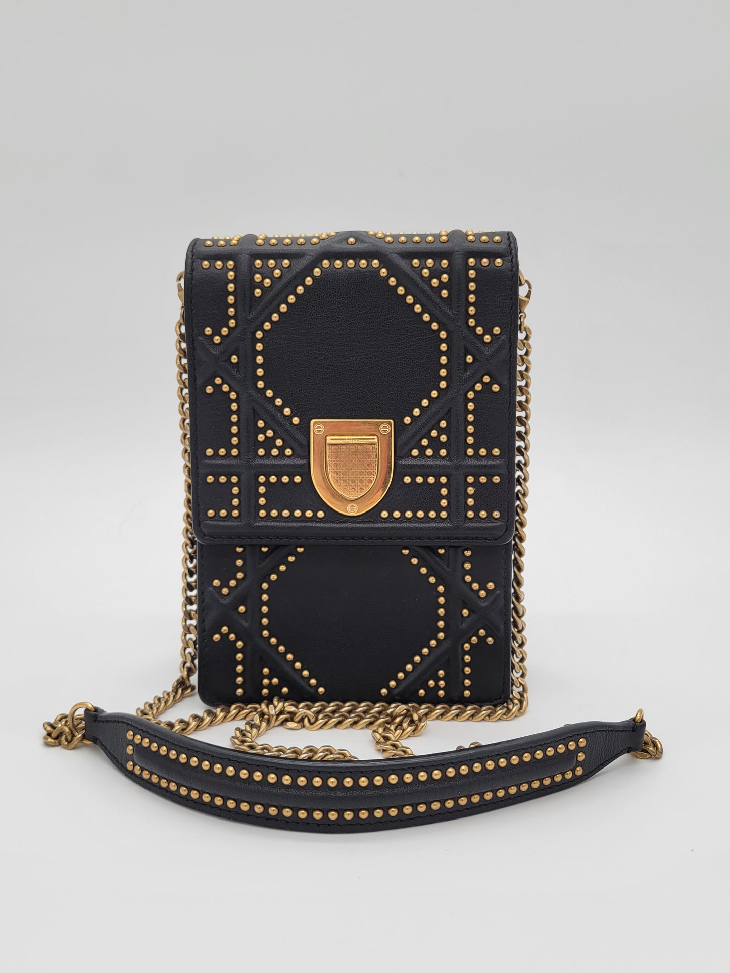 Christian Dior Diora Pouch