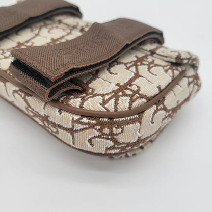 Christian Dior x Cactus Jack Travis Scott Arm Pouch